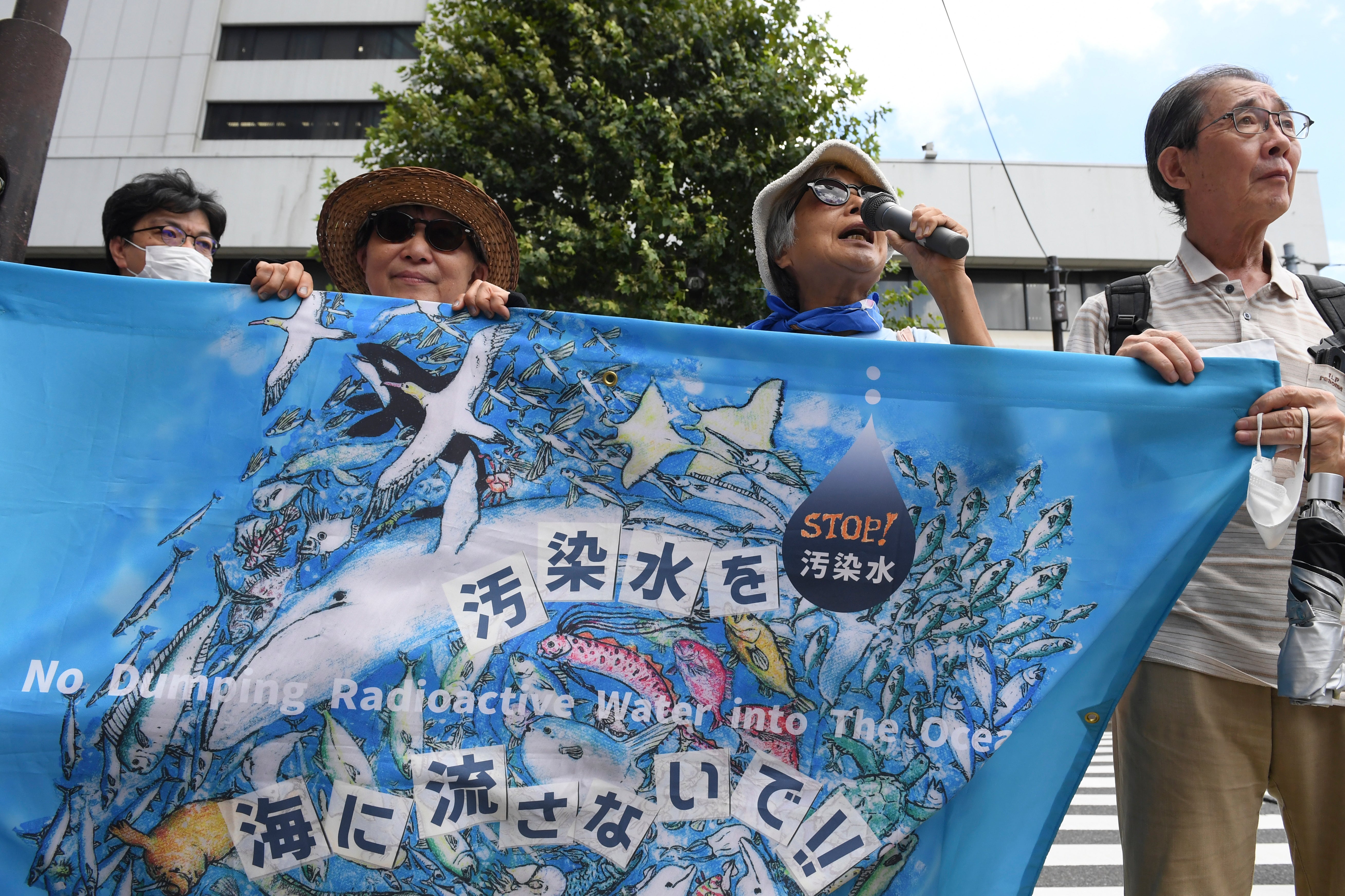 Japan Nuclear Fukushima