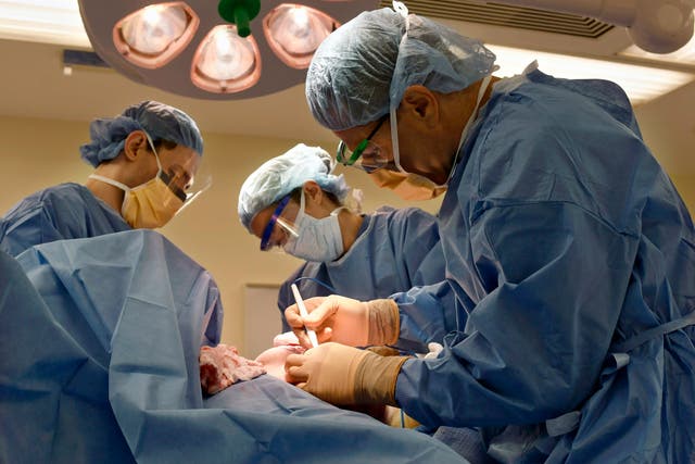 <p>Surgeons perform a bilateral mastectomy on a transgender patient at a hospital in Boston on Friday, July 15, 2016. </p>