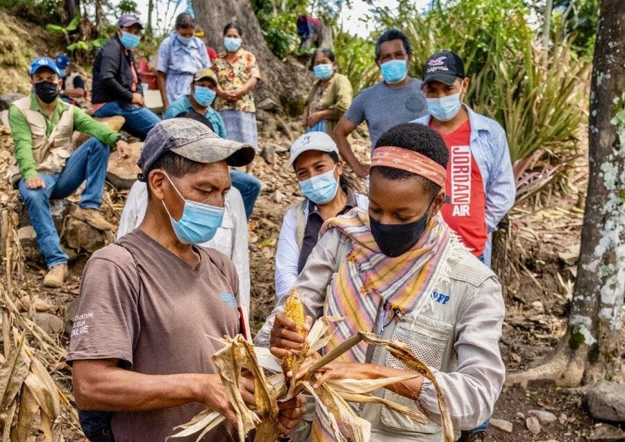 Nyamayaro examines maize with a farmer in Honduras