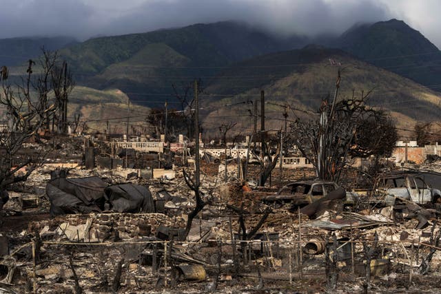 <p>A general view shows the aftermath of a wildfire in Lahaina, Hawaii on Aug 21, 2023 – survivors of the fire could see  compensation soon  </p>