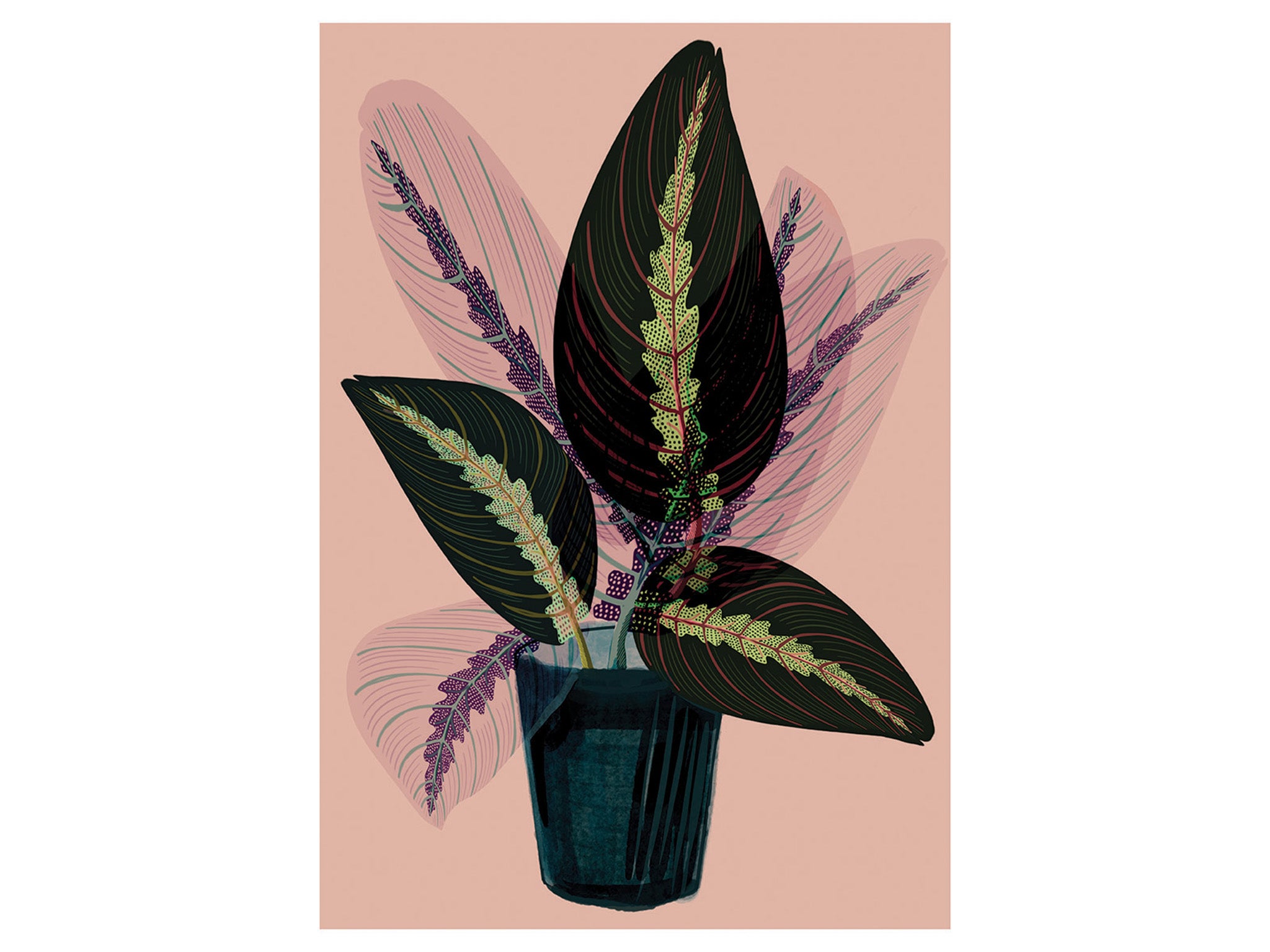 best-gift-for-mum-Tatie Lou rubber plant print.jpg