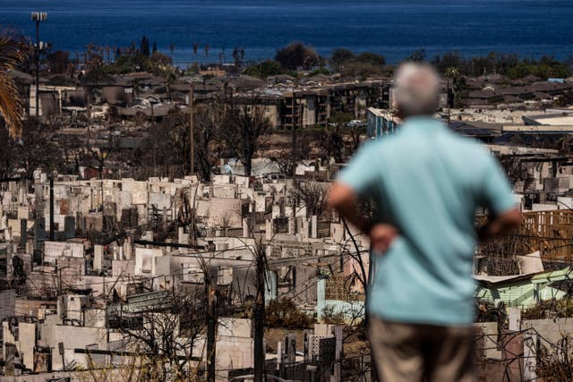 <p>A man views the aftermath of a wildfire in Lahaina, Hawaii</p>
