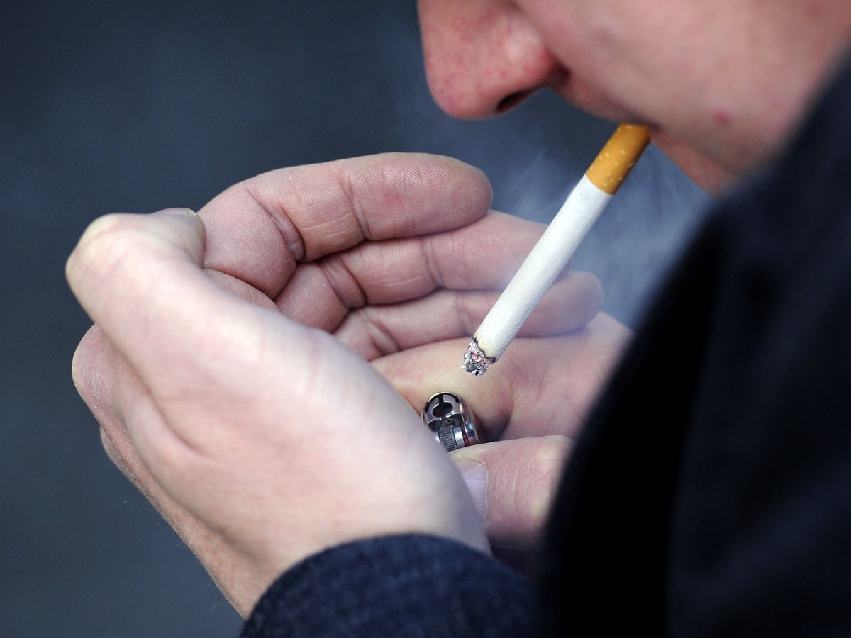 do menthol cigarettes kill sperm Assessment of the toxicity effects of nicotine on sperm and IVF and the potential protective role of silymarin—an experimental study in mice | Middle East Fertility Society Journal do menthol cigarettes kill sperm Assessment of the toxicity effects of nicotine on sperm and IVF and the potential protective role of silymarin—an experimental study in mice | Middle East Fertility Society Journal