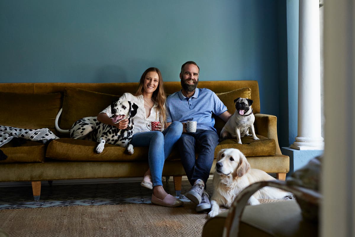 Keep your pet happy and nourished with these tasty treats and accessories 