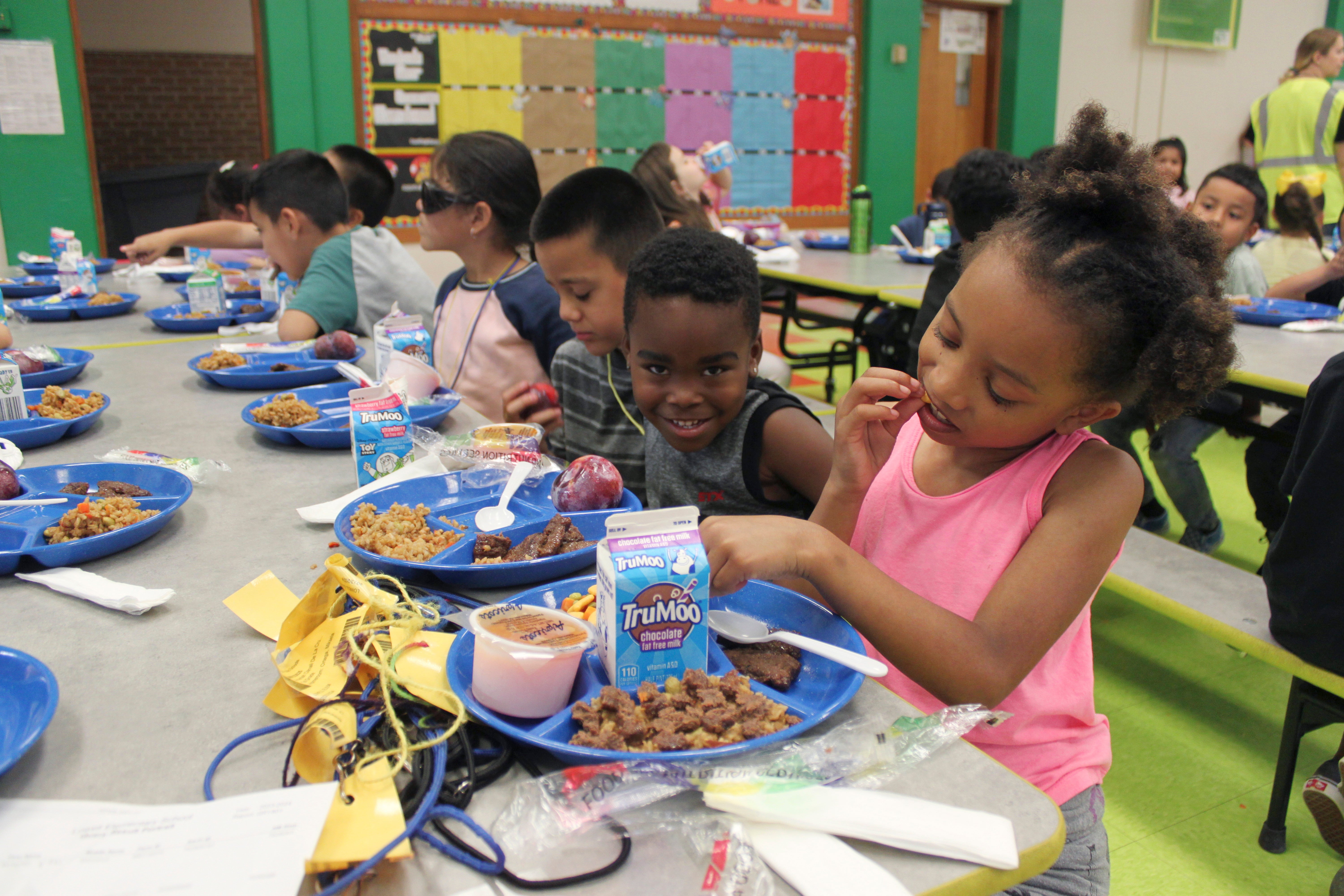 <p>Education Free School Meals</p>