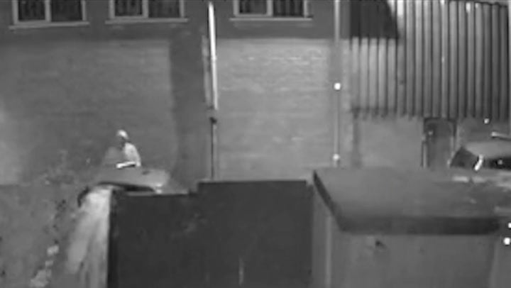 <p>Tiny chihuahua’s barks scare off three would-be car thieves.</p>