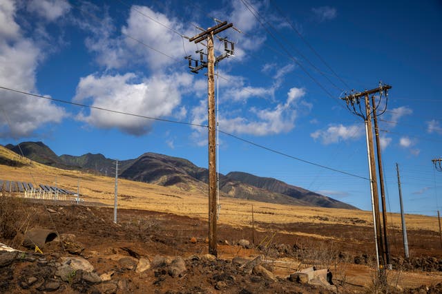 <p>High winds tied to hurricanes are ripping down power transmission wires and starting fires, like in Maui </p>