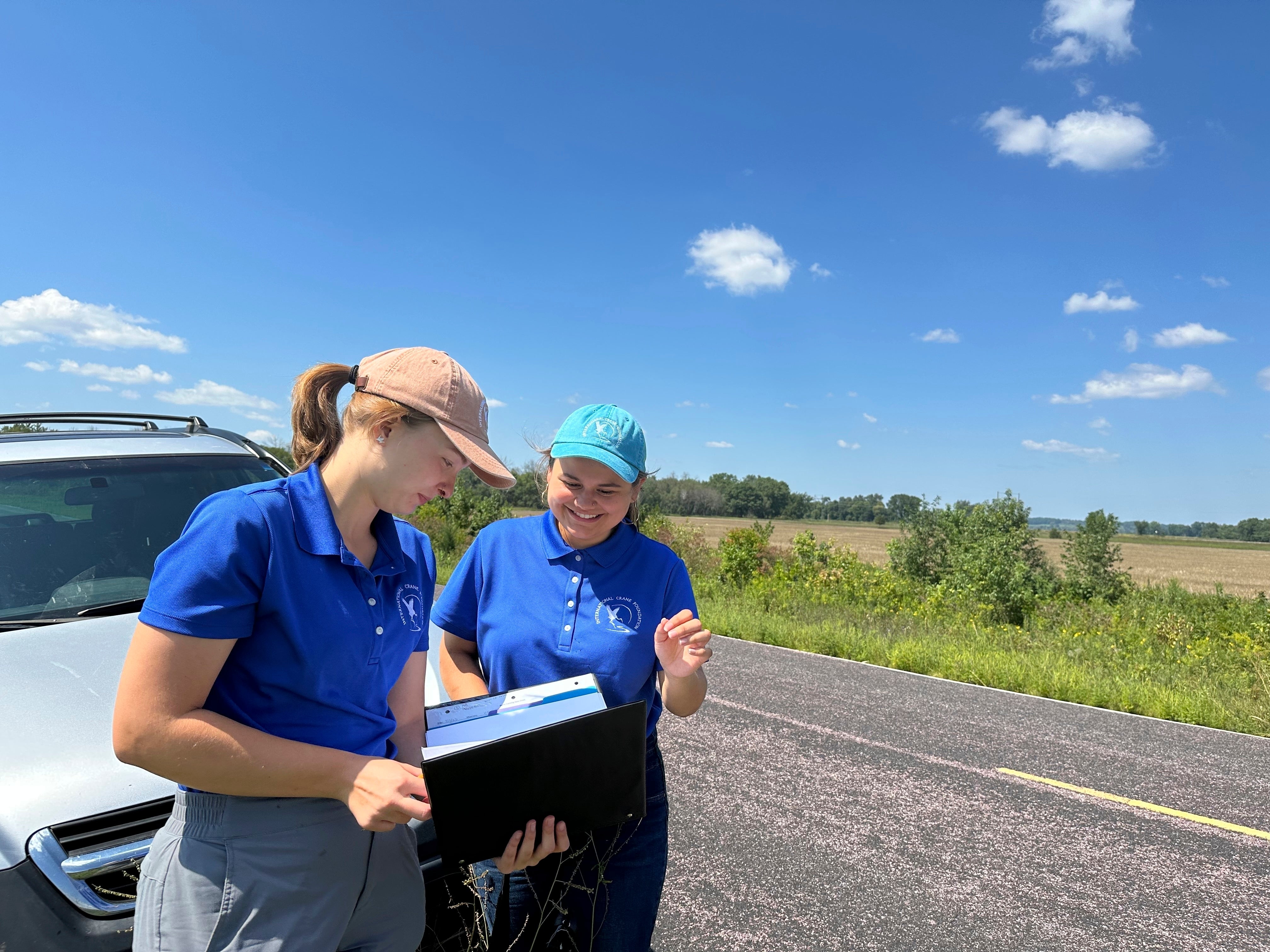 Conservation Diversity