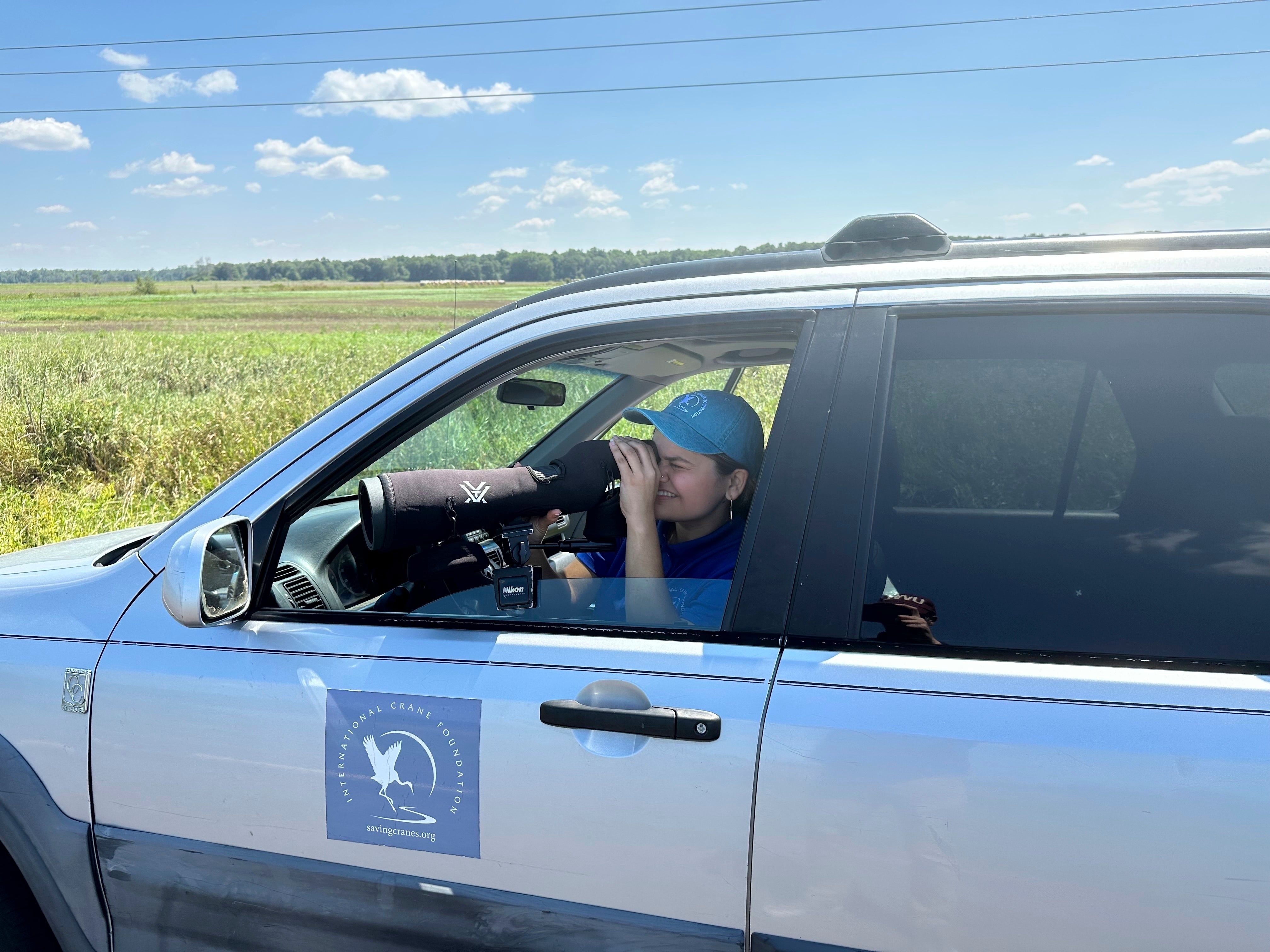 Conservation Diversity