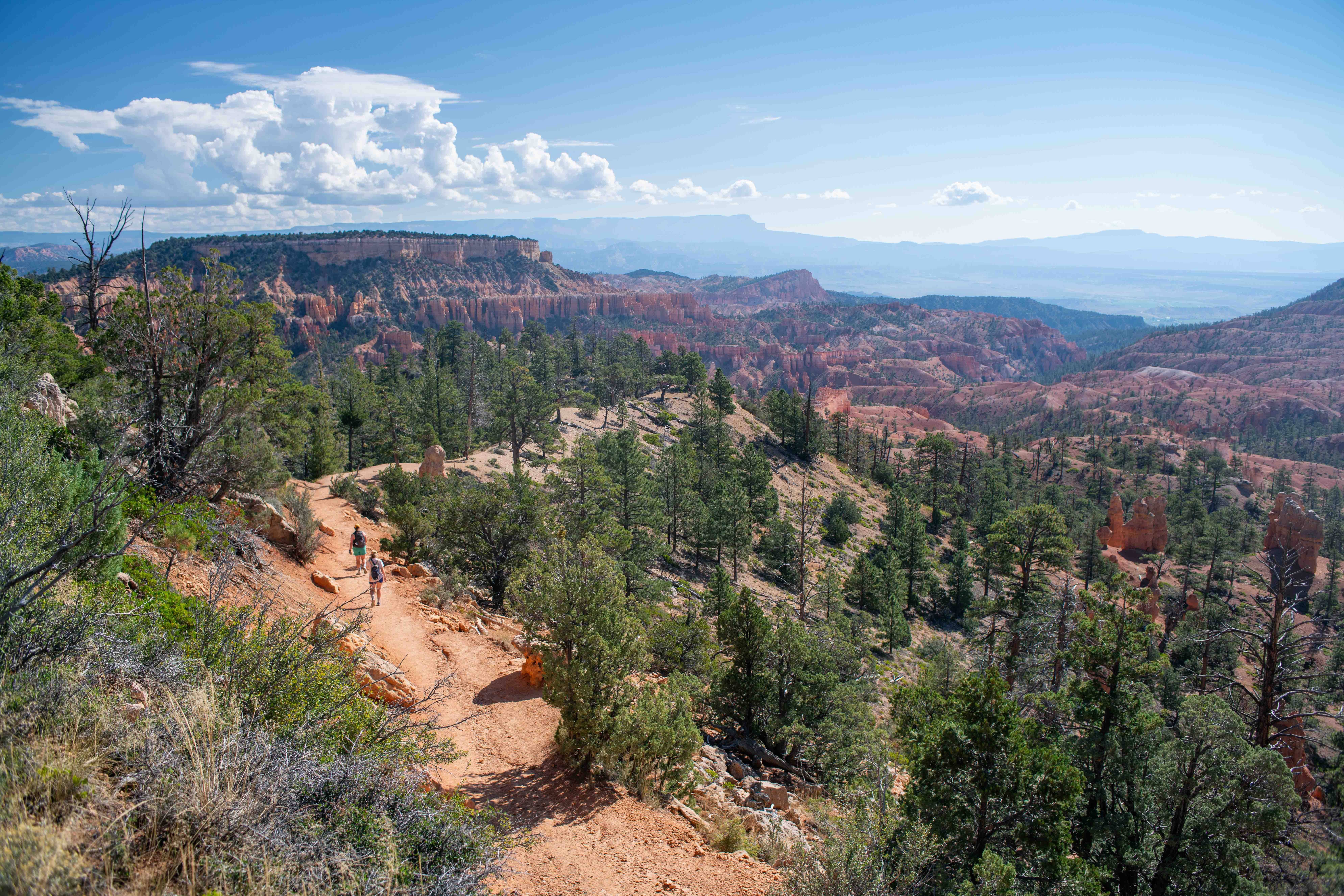 <p>An Arizona hiker was found dead on a trail in Utah’s Bryce Canyon National Park after a thunderstorm caused flash flooding</p>