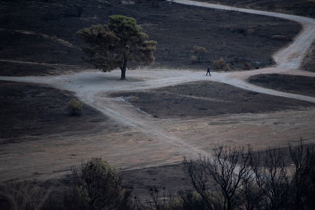 GRECIA-INCENDIOS