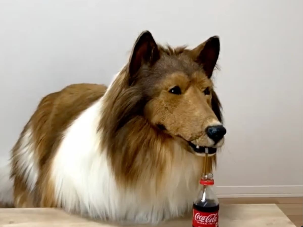 Japanese man who spent £12,480 to look like a dog encourages others to follow him