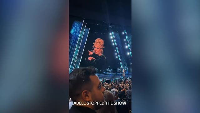 <p>Moment Adele stops Las Vegas show.</p>