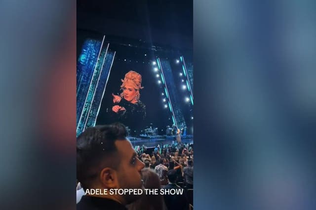 <p>Moment Adele stops Las Vegas show.</p>
