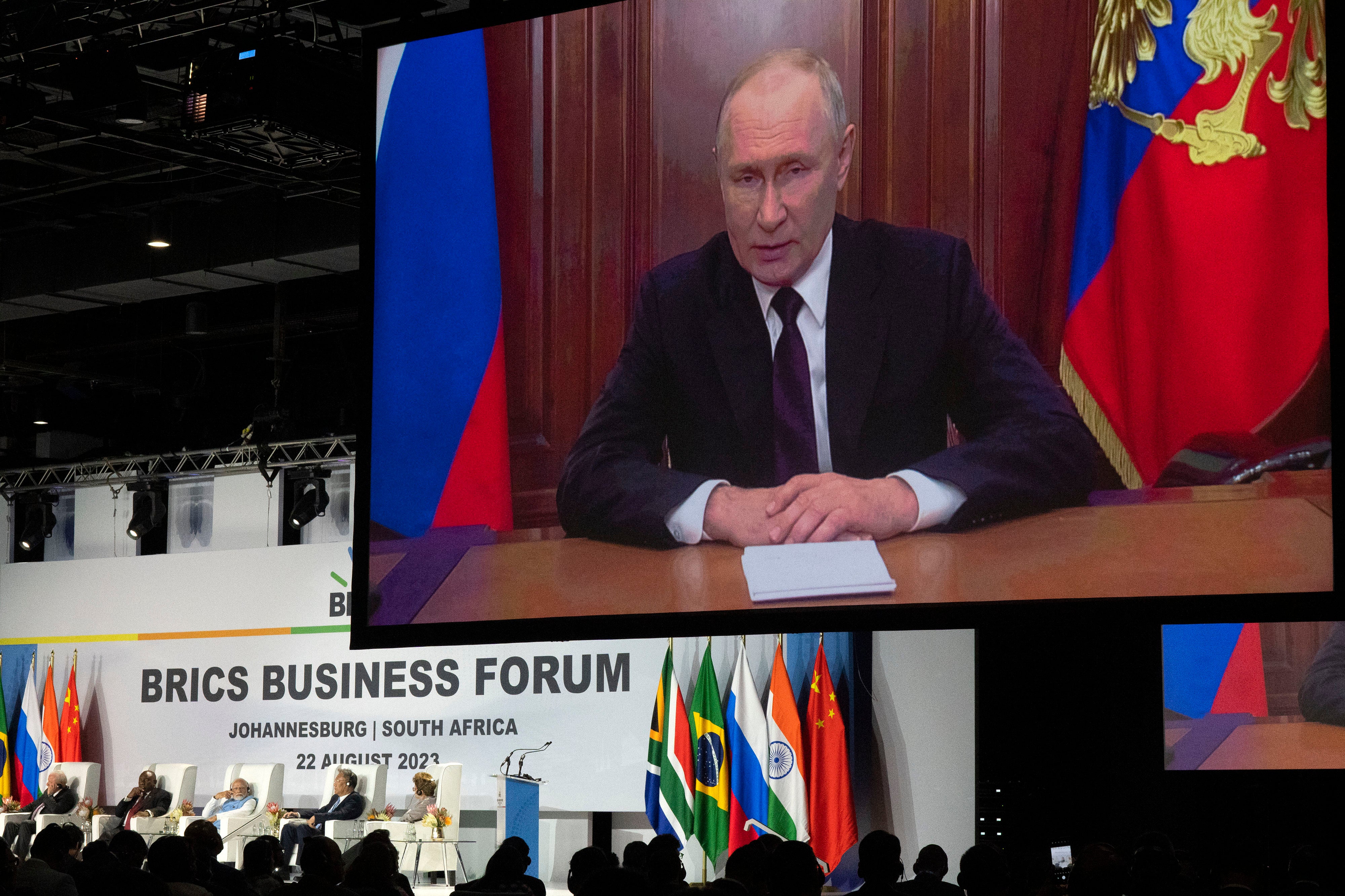 <p>Russian President Vladimir Putin addresses leaders from the BRICS group of emerging economies at the start of a three-day summit in Johannesburg, South Africa </p>