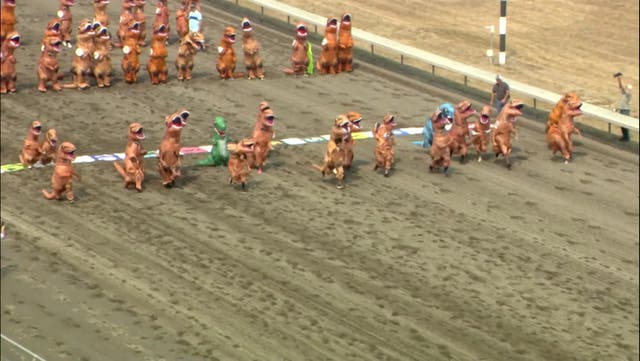 <p>Children take part in hilarious ‘world championship’ T-Rex race.</p>