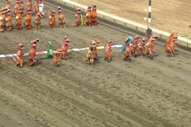 <p>Children take part in hilarious ‘world championship’ T-Rex race.</p>