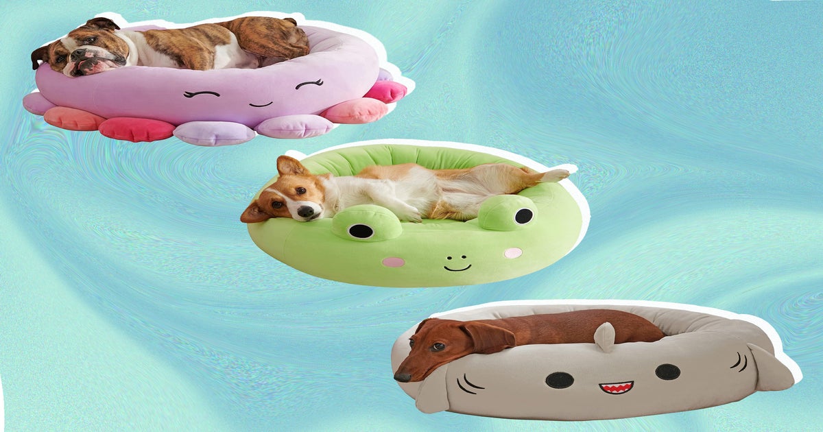 Squishmallows Pet Beds - Wendy The Frog