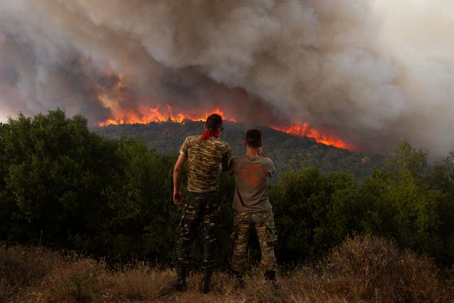 <p>Flames burn a forest during wildfires near the village of Sykorrahi, near Alexandroupolis town, in the northeastern Evros region, Greece</p>