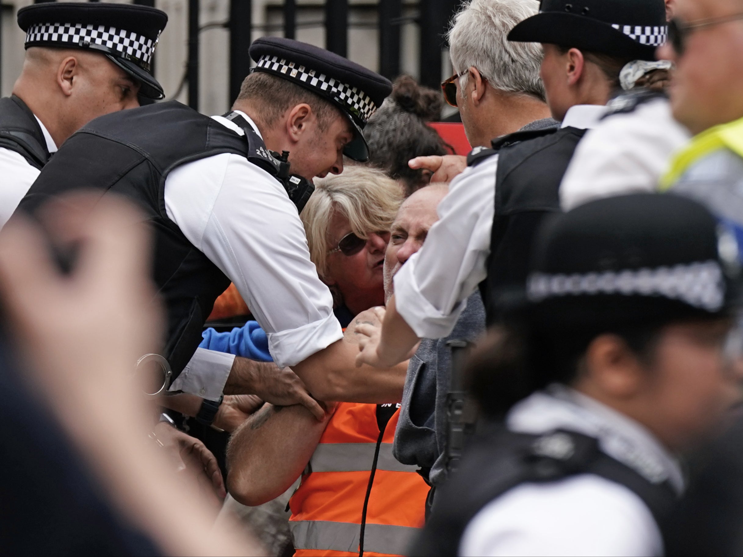 Police officers restrain an anti-Ulez protester outside Downing Street