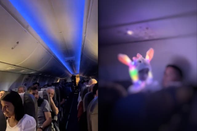 <p>Child wearing glow-in-the-dark light-up hat disrupts plane passengers </p>