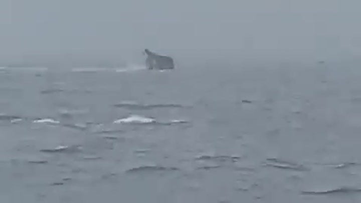 Ship carrying 70,000 litres of fuel sinks during Super Typhoon Saola