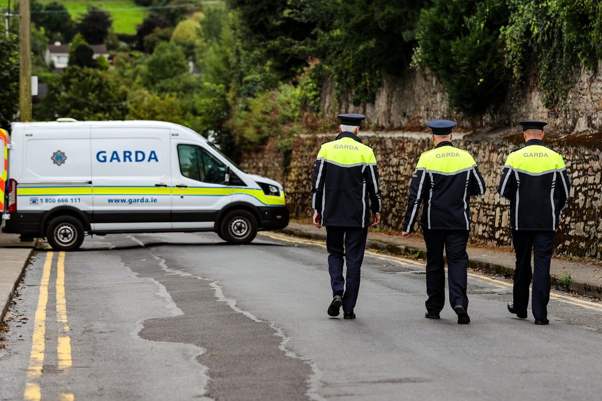 Man, woman and infant boy killed in car crash in Co Tipperary