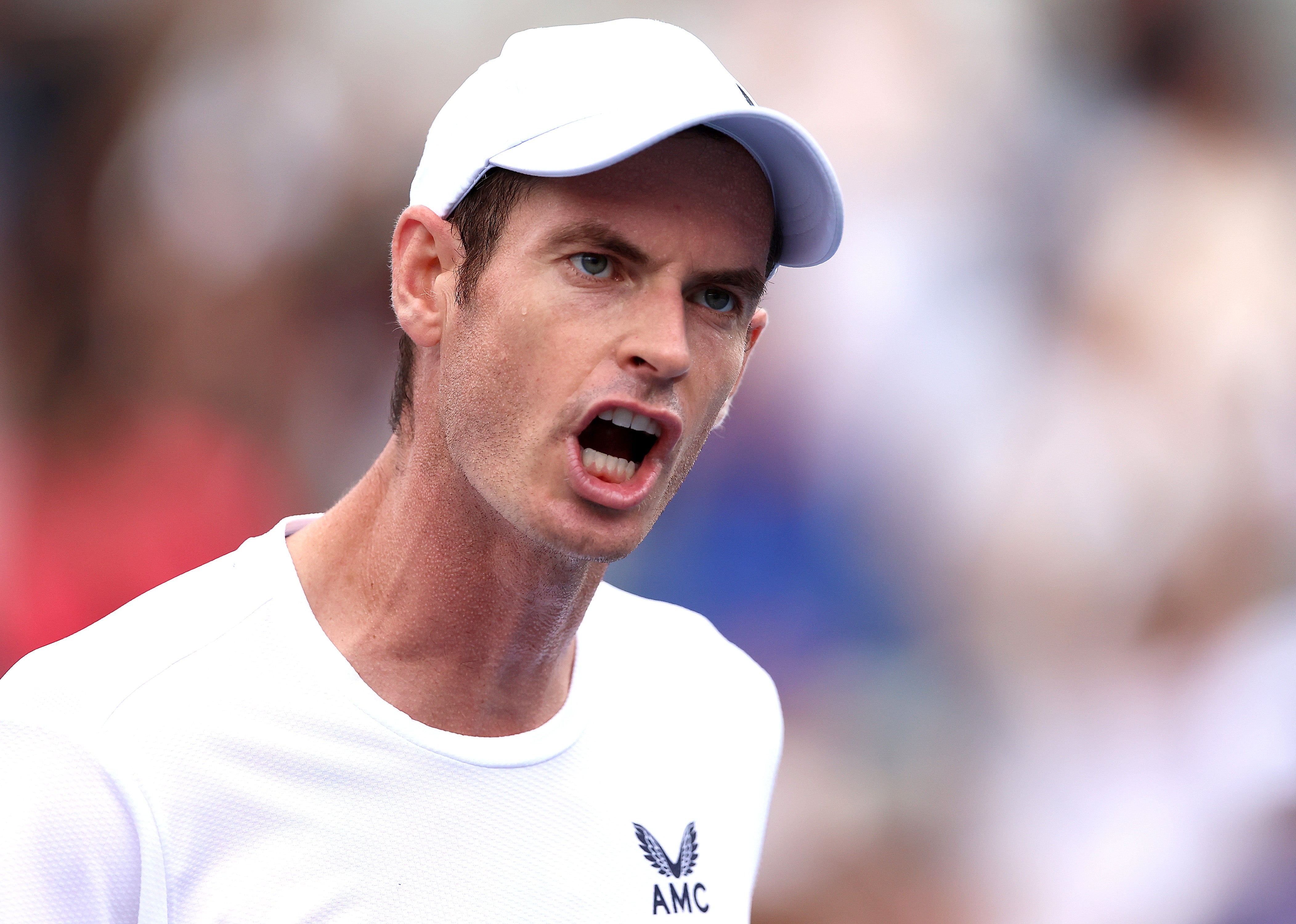 Andy Murray criticises VAR farce in US Open win The Independent