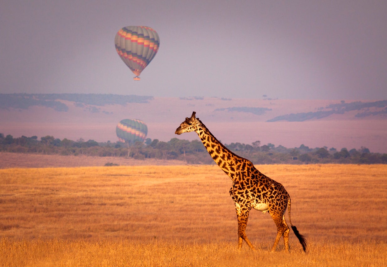 The Masai Mara National Reserve runs along the border with Tanzania