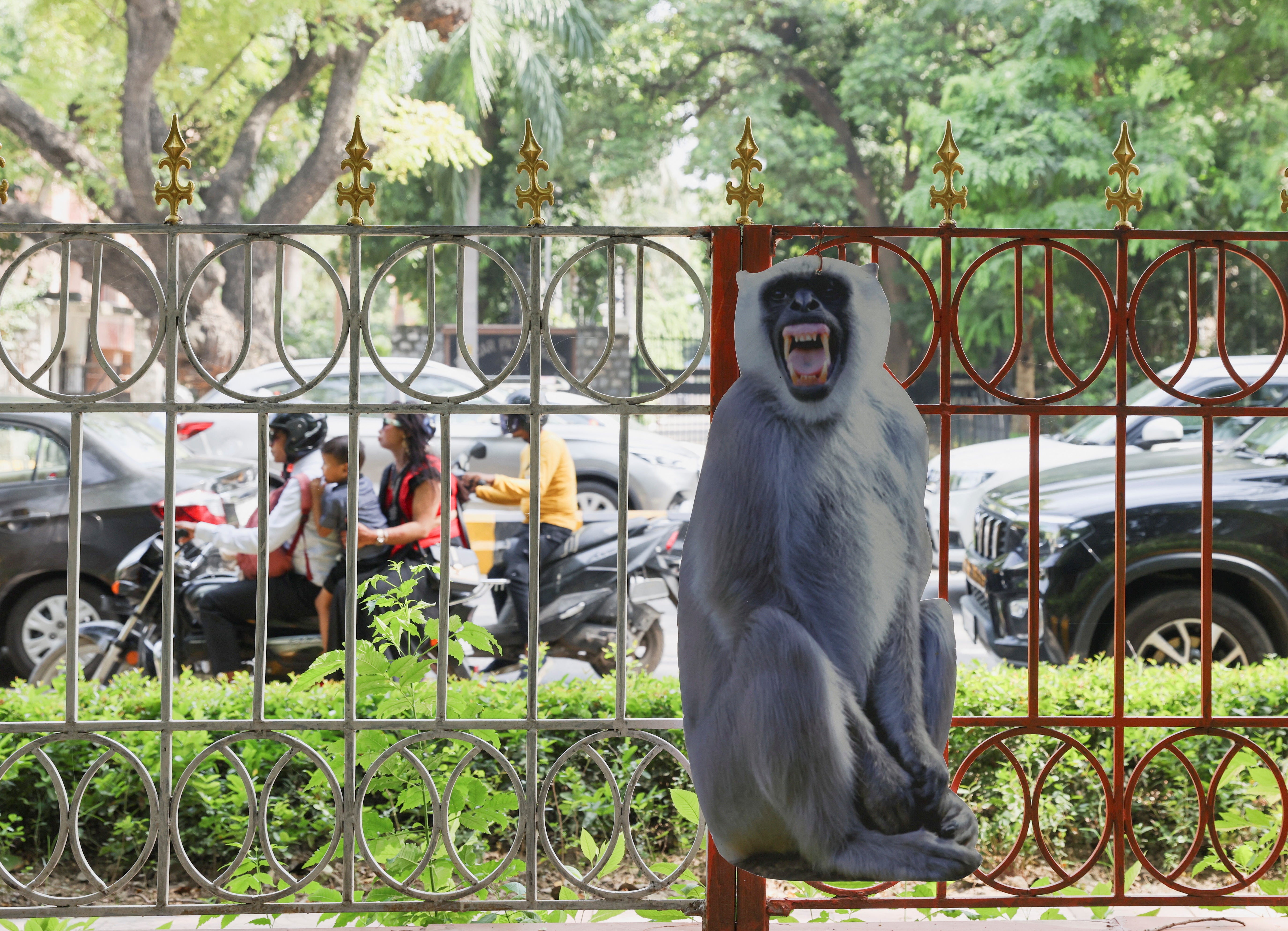 A cut-out of a langur is tied to a fence alongside a road to scare away monkeys, ahead of the G20 Summit in New Delhi