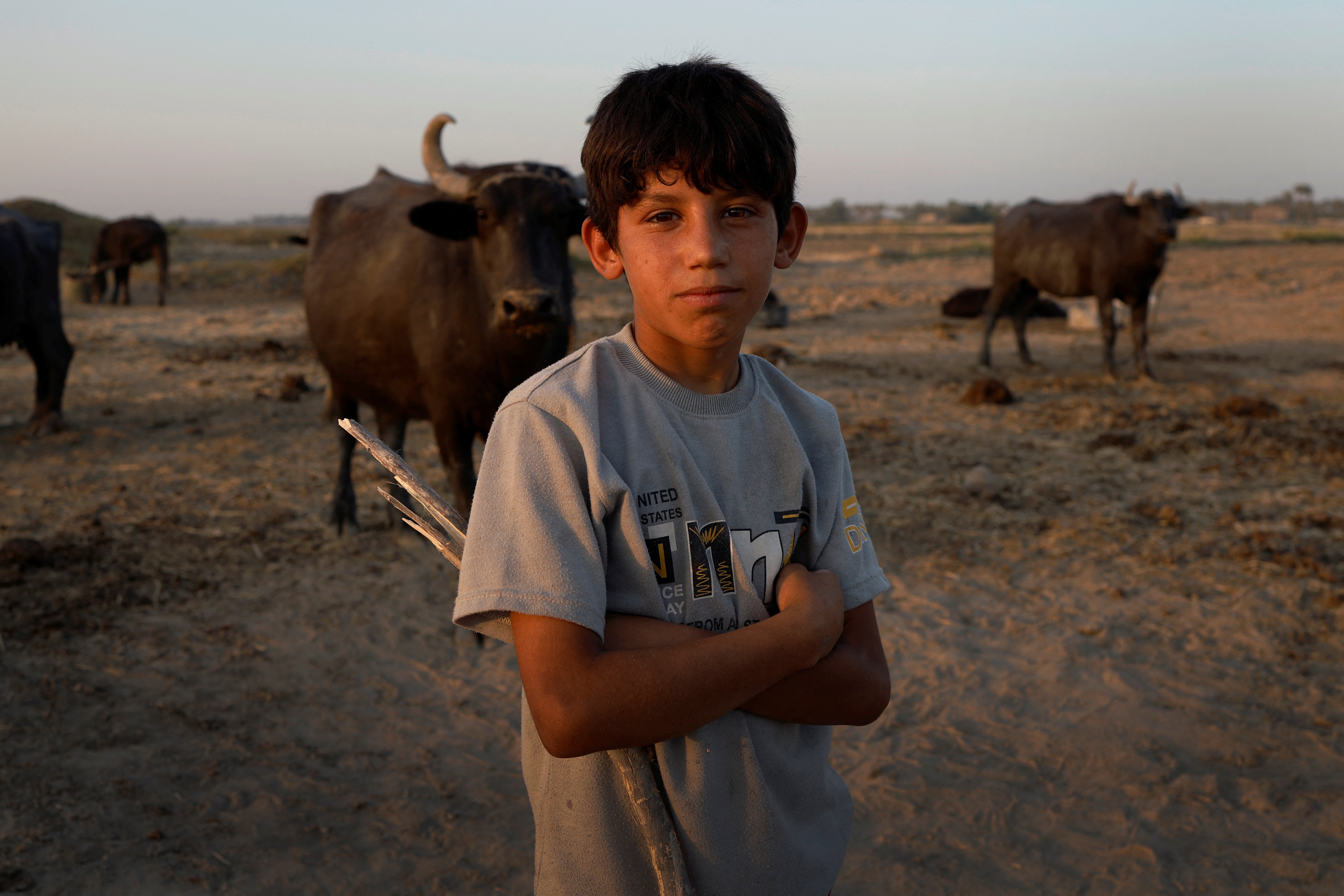 Mustafa in front of his family’s buffalo herd