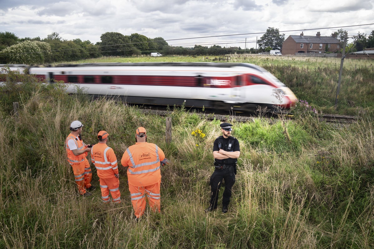 No criminal inquiry into death of police officer hit by train