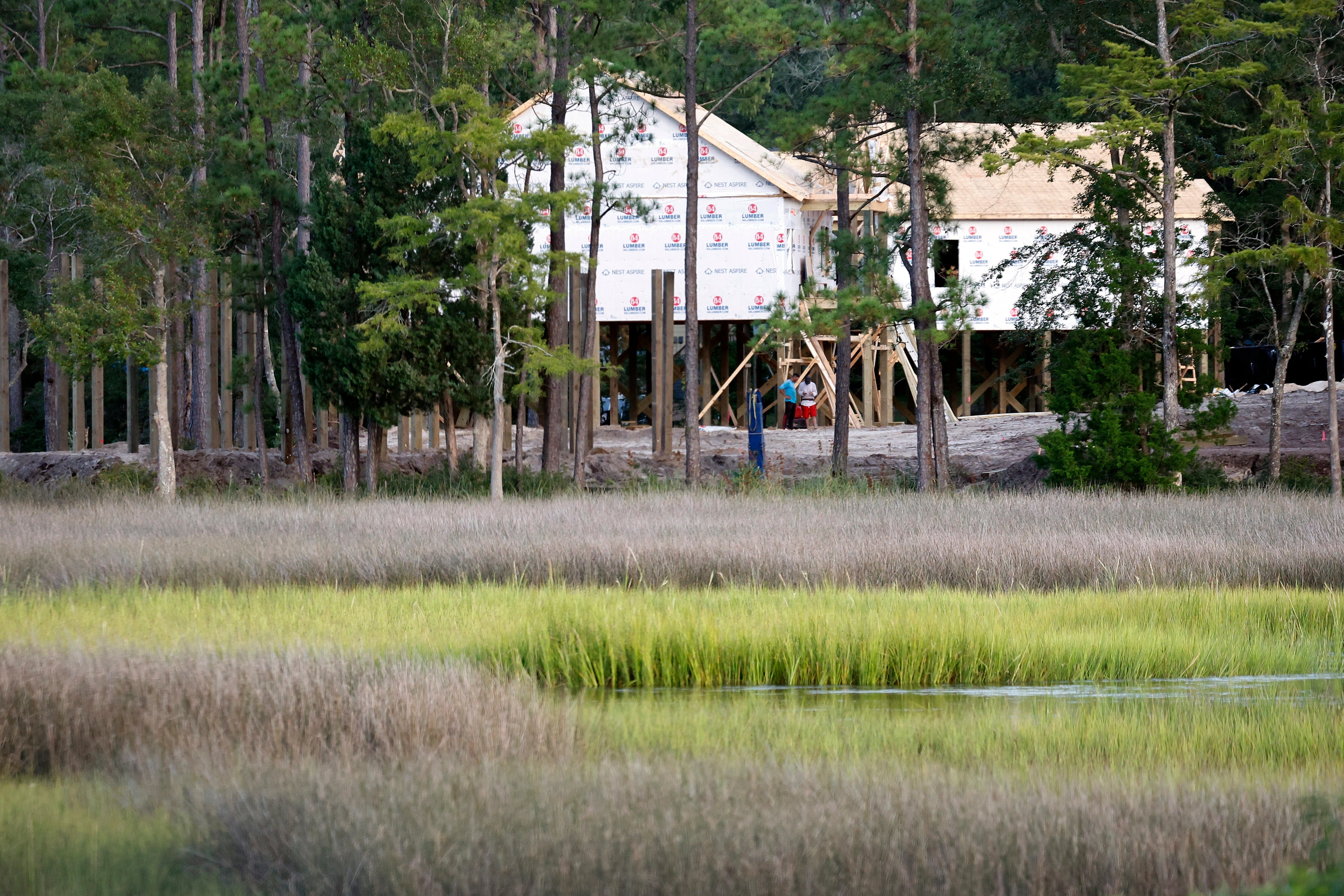Wetlands State Fights