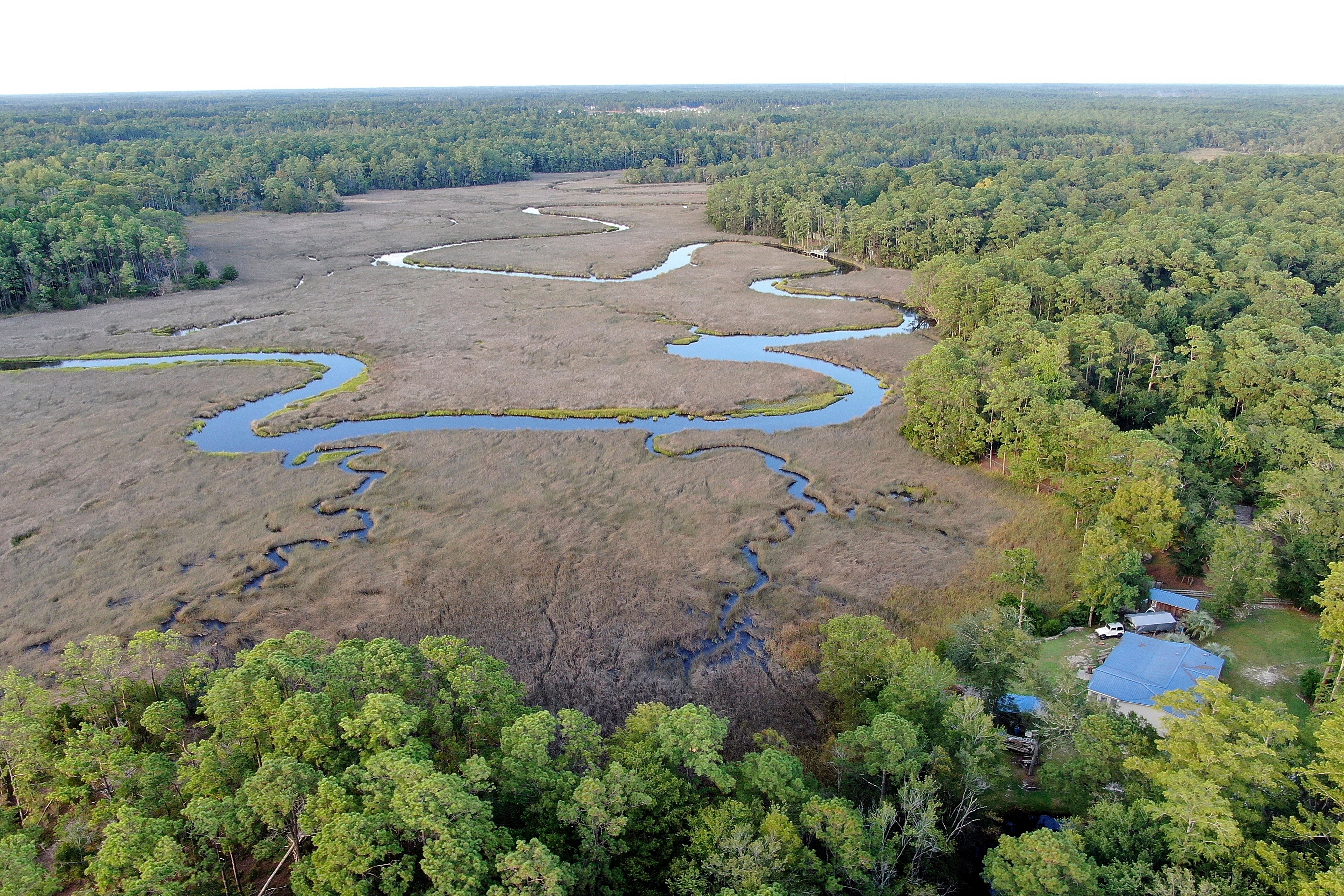 Wetlands State Fights