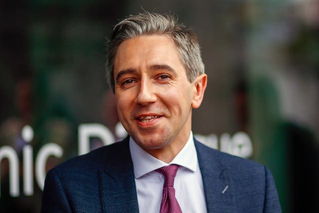 Minister for Higher Education Simon Harris has called for a national debate on whether it is appropriate to continue tying the number of TDs in the Dail to the population (PA)