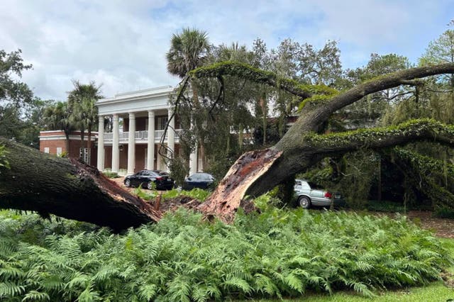 <p>A 100-year-old oak tree toppled onto the governor’s mansion in Tallahassee, Florida</p>