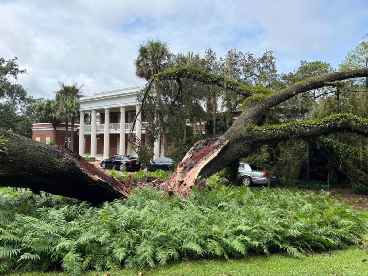 Tree falls on Ron DeSantis’s mansion with his family inside as Hurricane Idalia rocks Florida