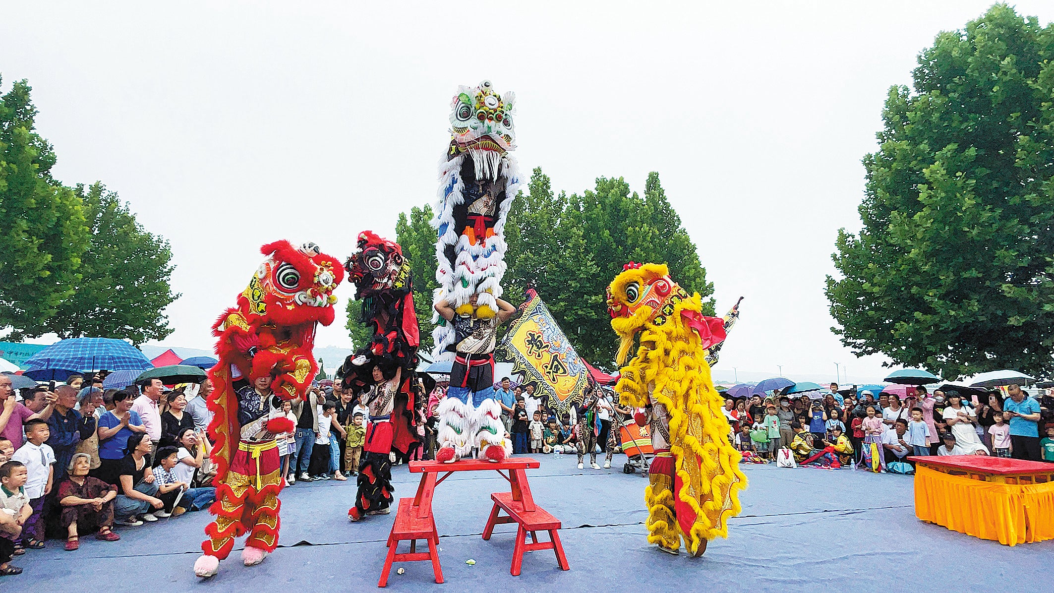 Yang and his team perform a Xitao lion dance in Gongyi city, Henan province