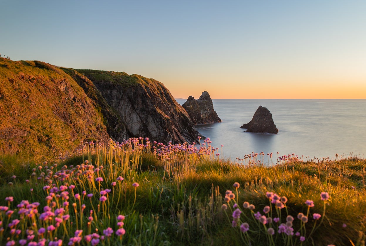 Pembrokeshire’s coastal landscapes are a joy to explore
