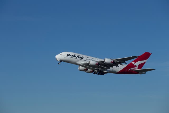 <p>Qantas has said it is taking the allegations ‘seriously’</p>