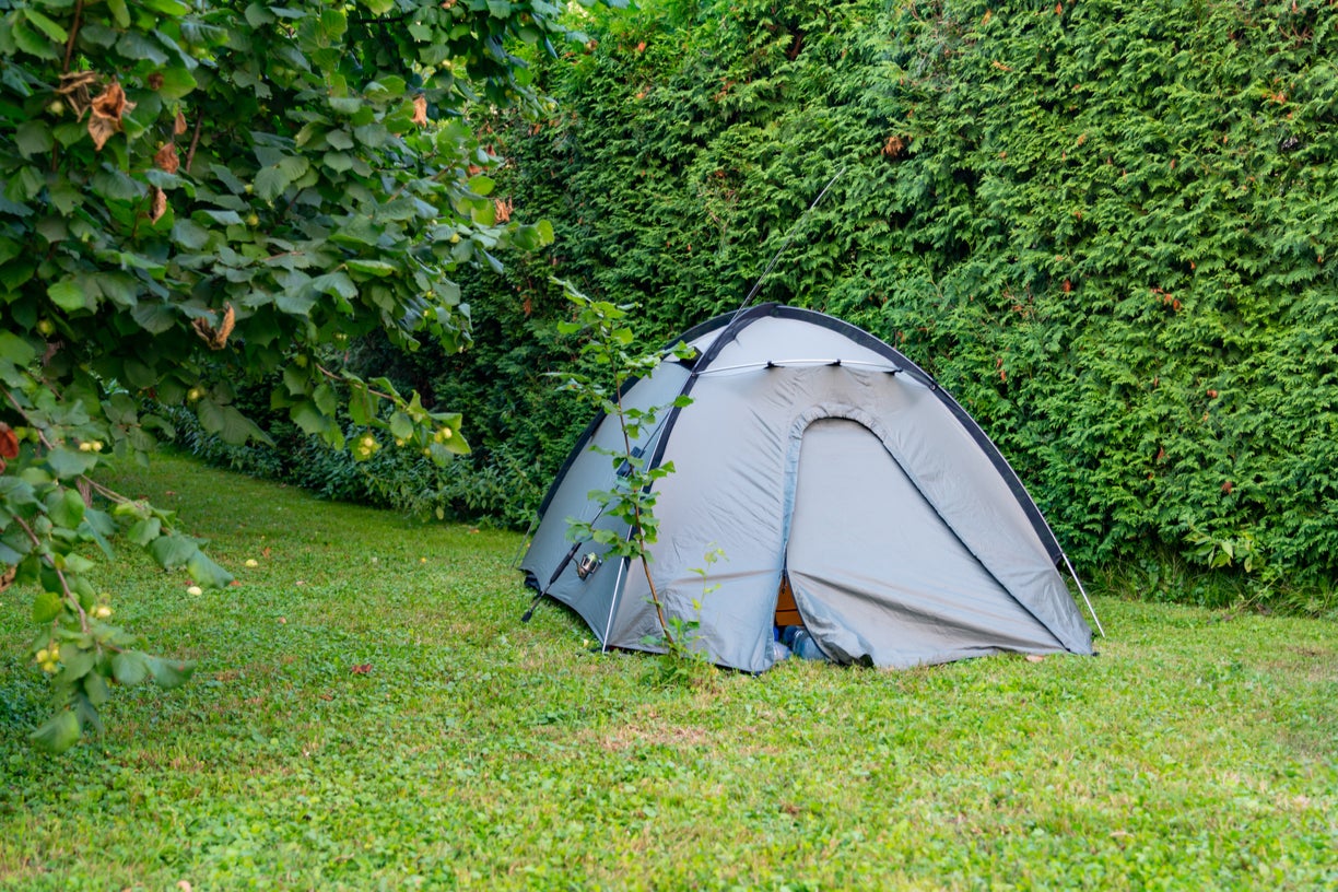 Tent on sale in garden