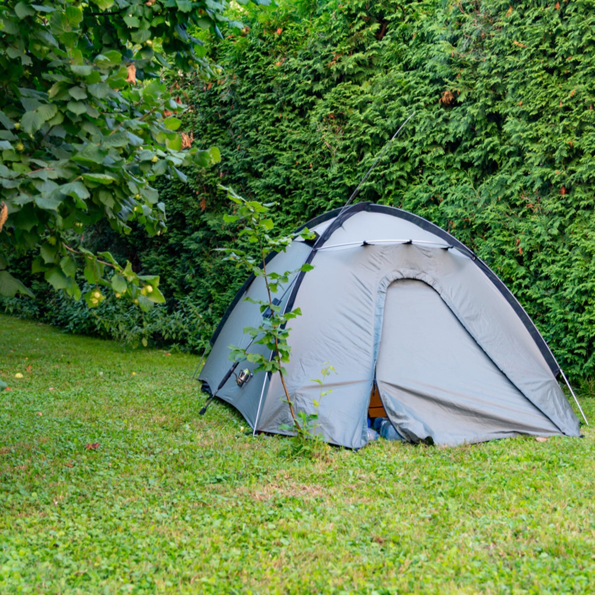 Tent in garden listed on Airbnb for more than £400 a night | The Independent