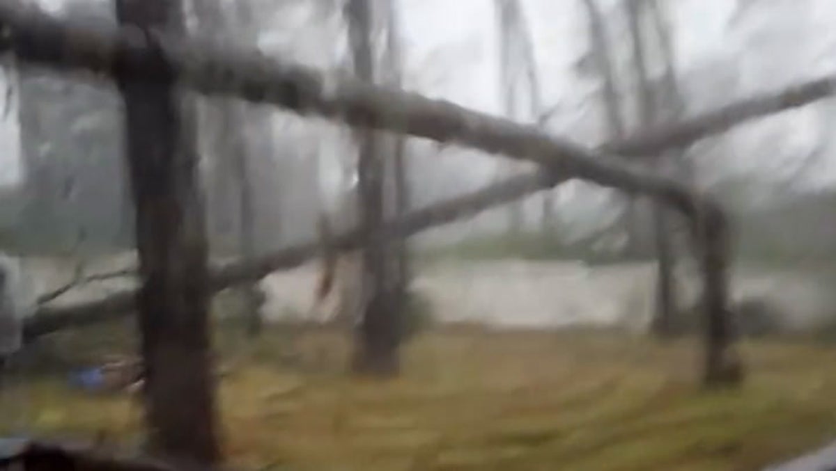 Tree falls on Florida home as Hurricane Idalia devastates state