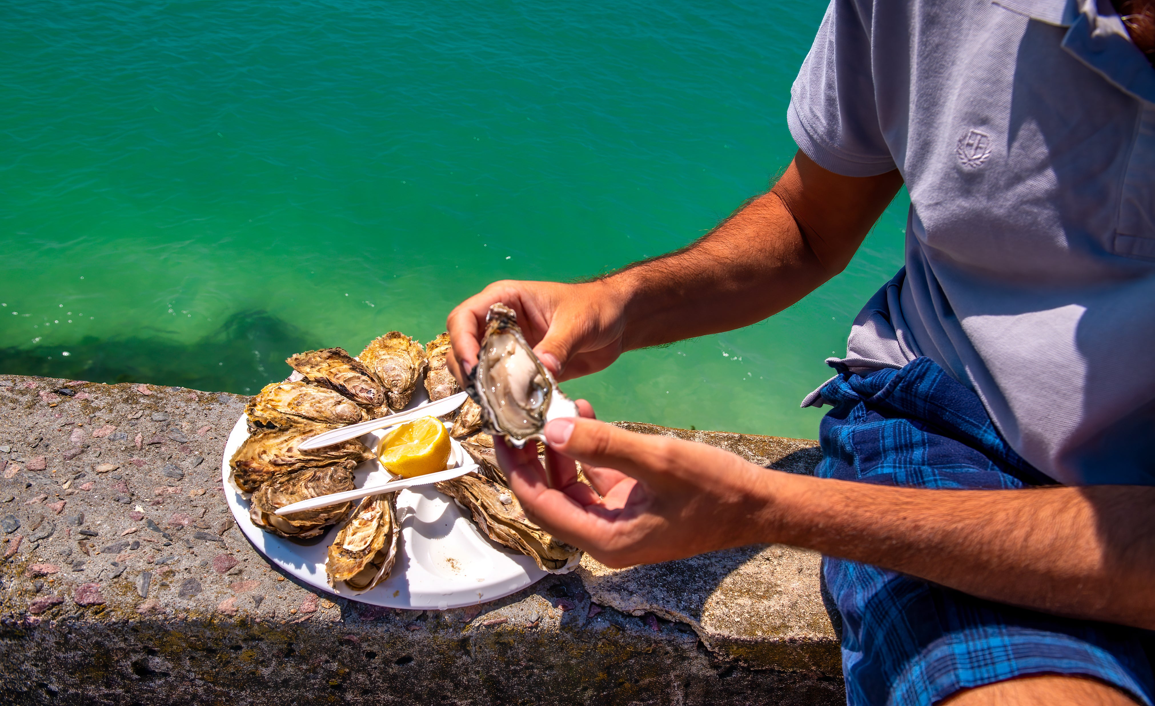 Seafood fans will be in their element in Brittany, from oysters to mussels and scallops