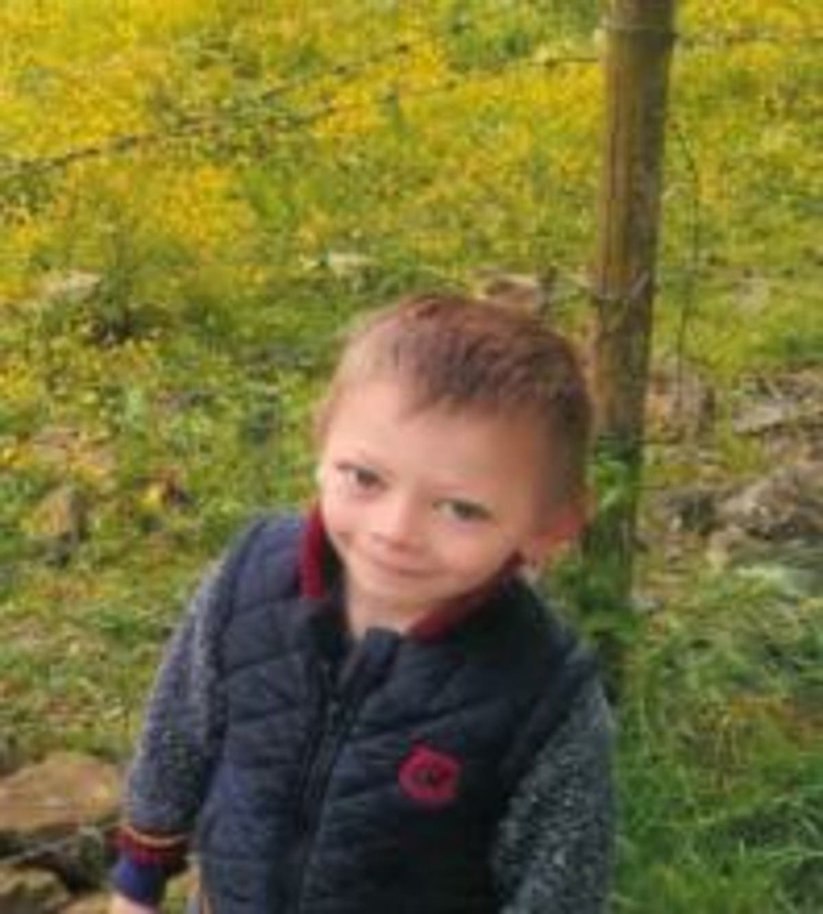 First picture of boy, 7, killed in BMW horror crash as man arrested