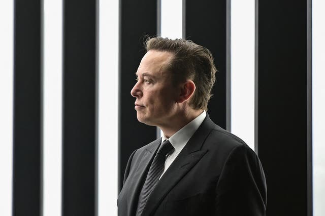 <p>Tesla CEO Elon Musk is pictured as he attends the start of the production at Tesla's "Gigafactory" on March 22, 2022 in Gruenheide, southeast of Berlin</p>