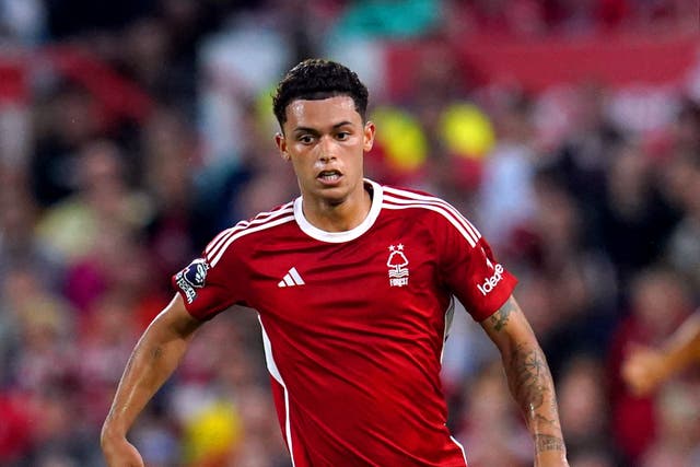 Nottingham Forest forward Brennan Johnson is a reported target for Tottenham (Nick Potts/PA)