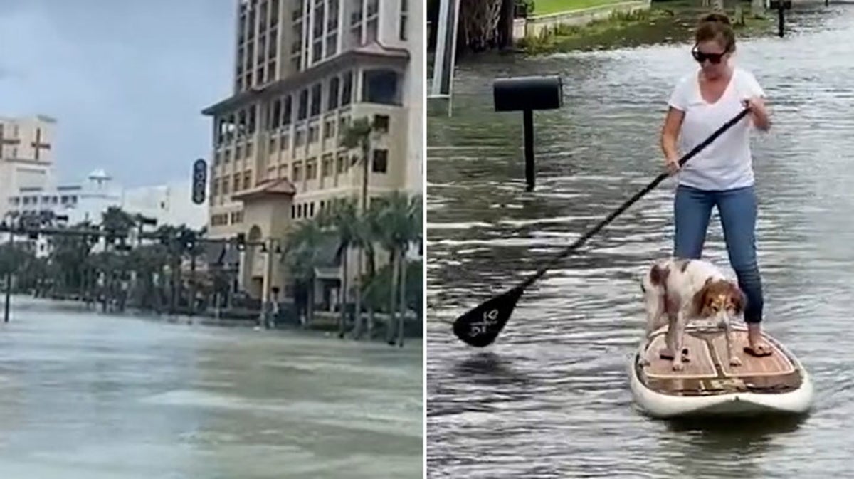Florida resident paddleboards down flooded road with her dog