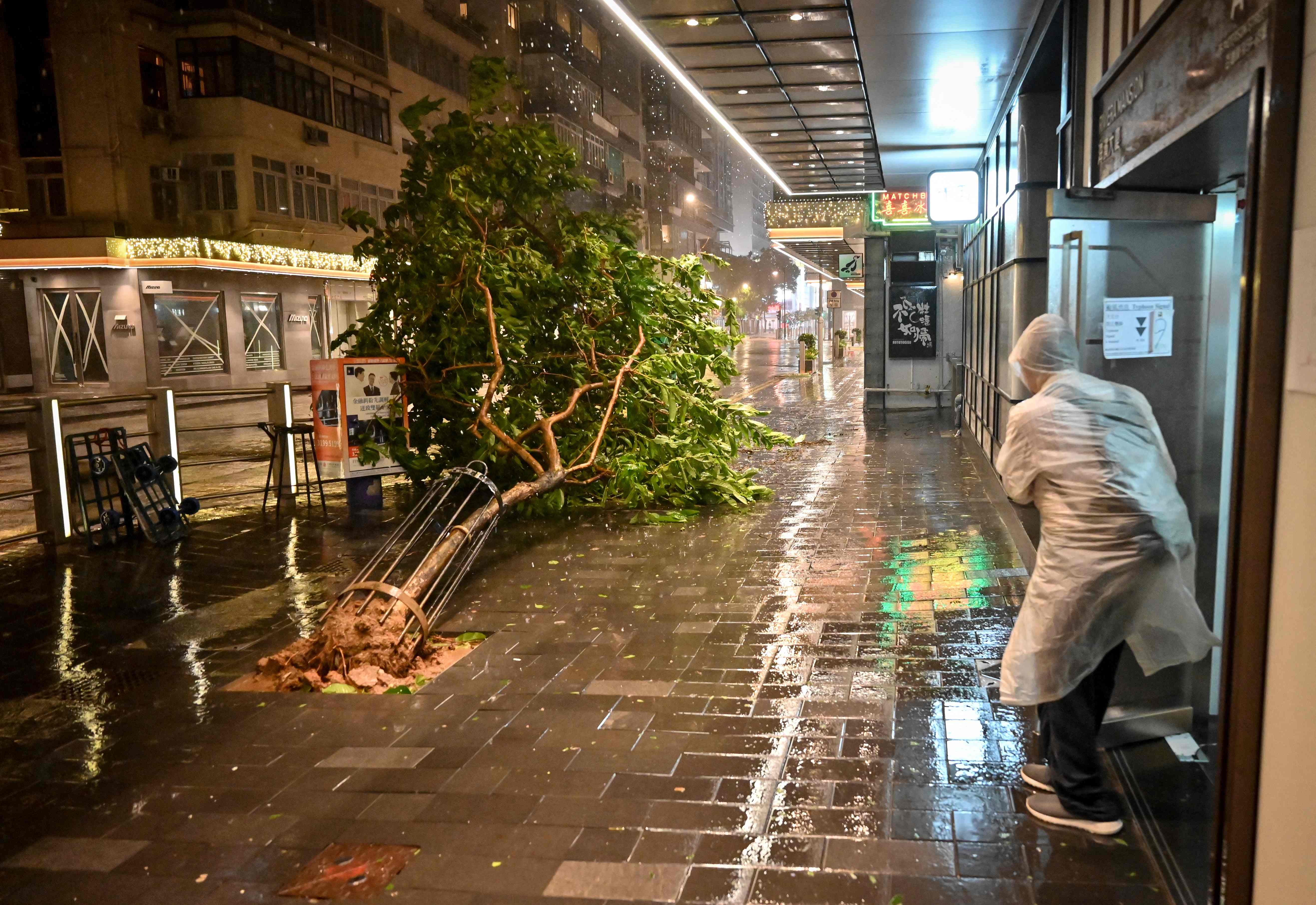 A tree uprooted by Typhoon Saola in Causeway Bay in Hong Kong on Friday