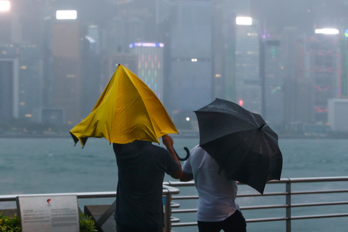 Live Hong Kong Faces Aftermath Of Typhoon Saola Following worst Storm live-hong-kong-faces-aftermath-of-typhoon-saola-following-worst-storm